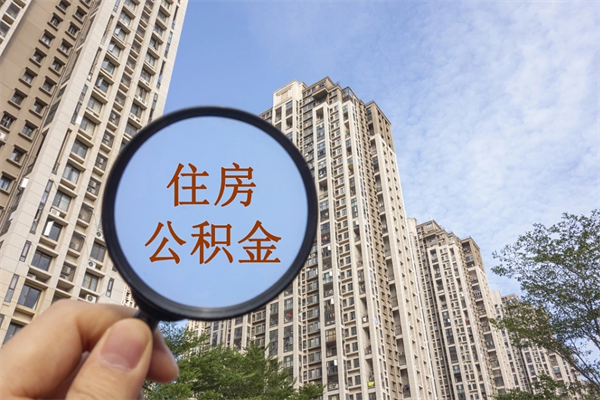 新野公积金销户了钱没到账（公积金销户后钱没到账）